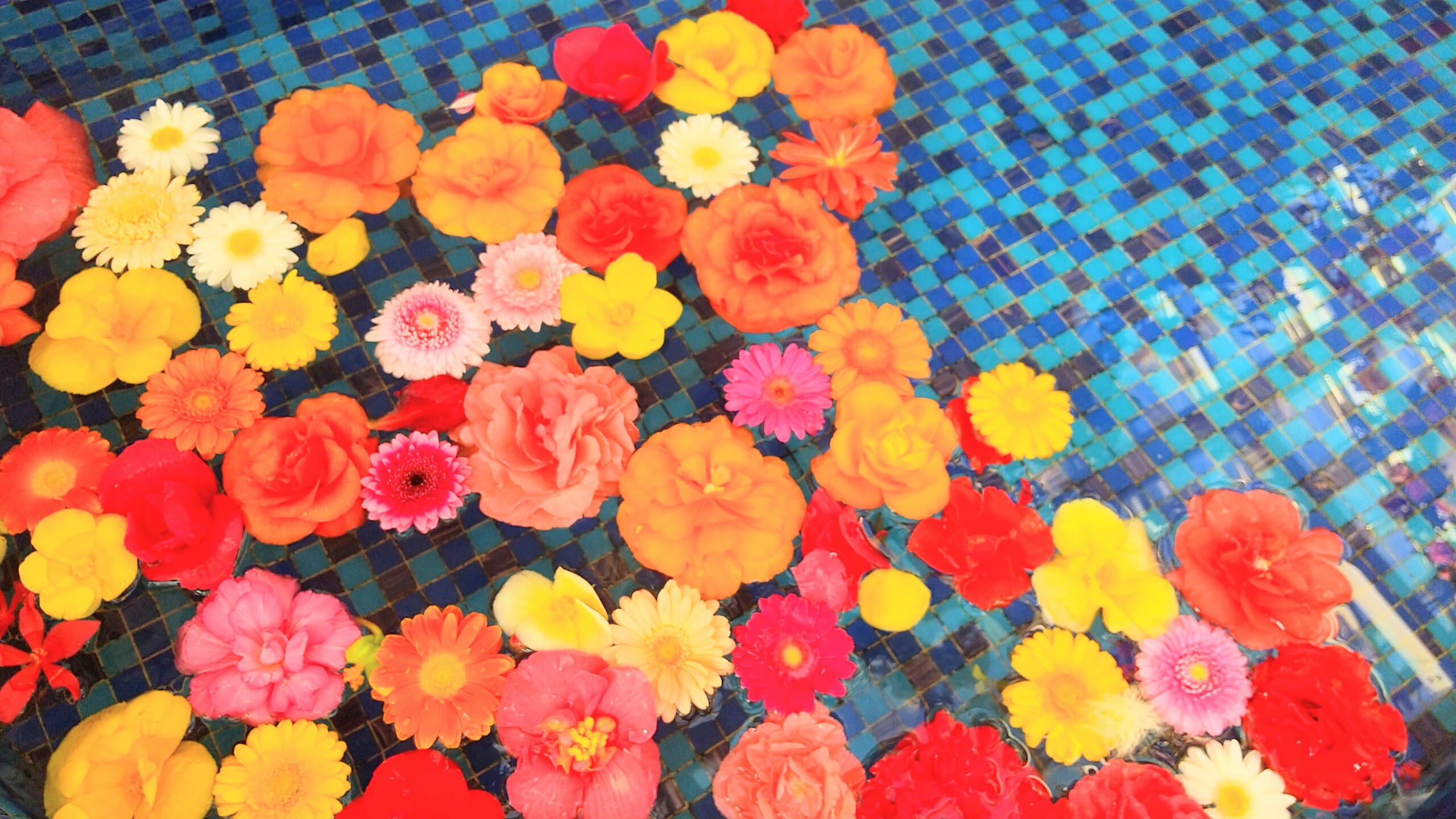 しあわせ社長.com