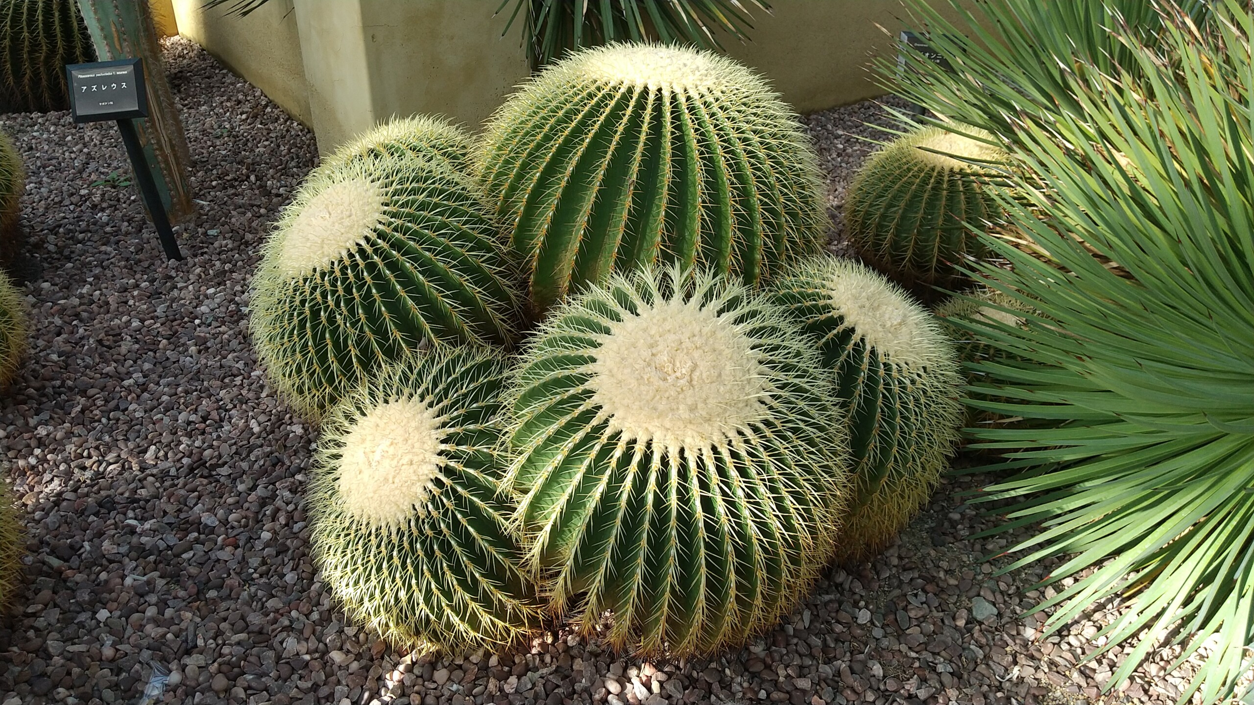 しあわせ社長.com