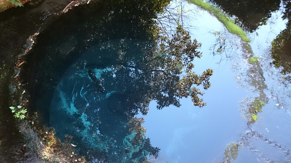 しあわせ社長.com