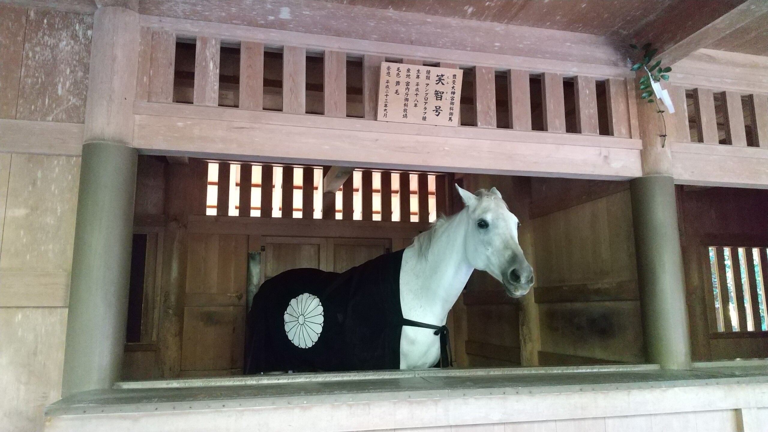 しあわせ社長.com