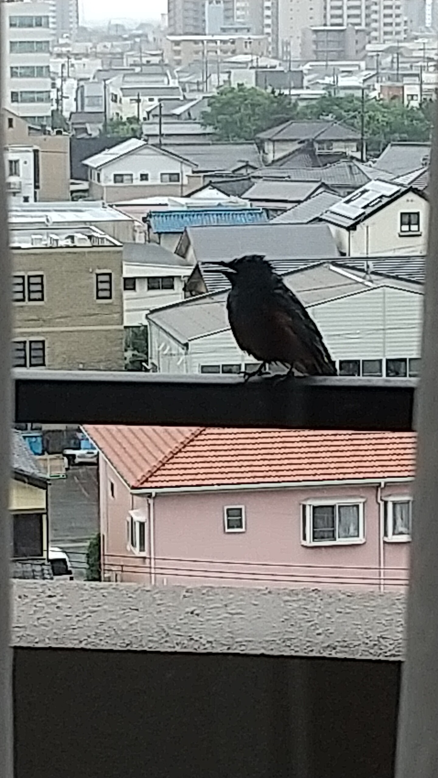 しあわせ社長.com