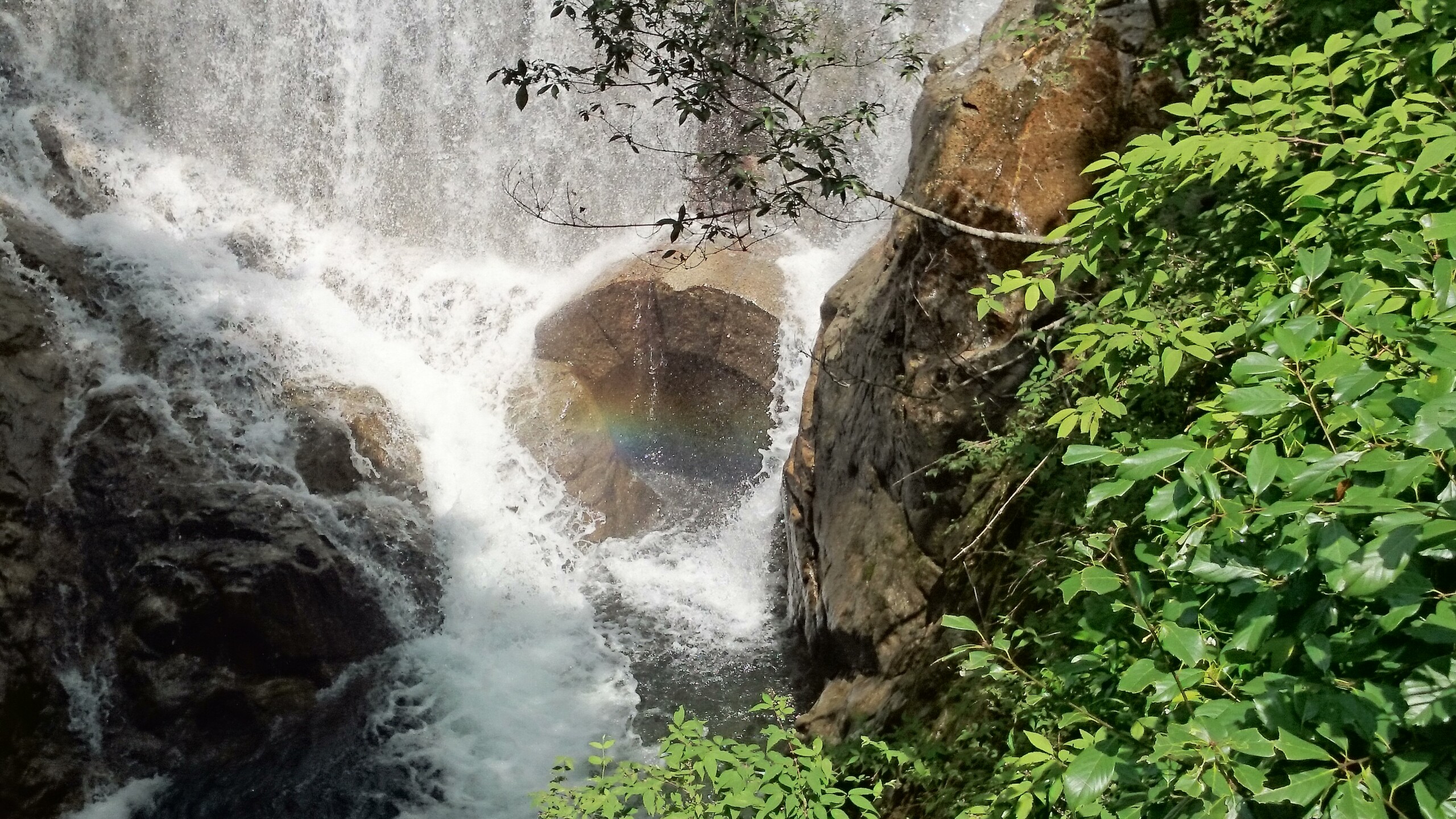 しあわせ社長.com