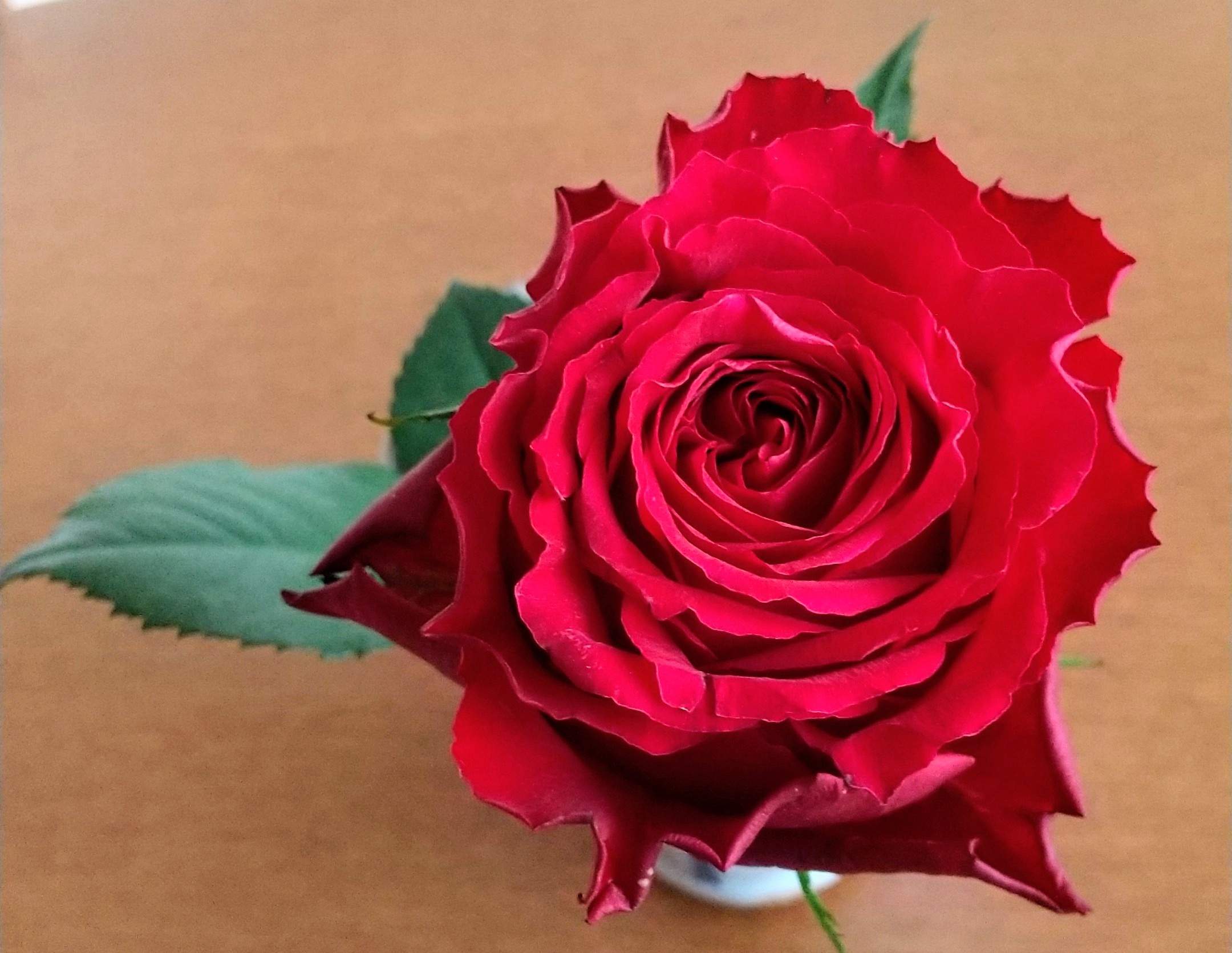 しあわせ社長.com